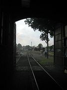 IMG_0101 (Medium)